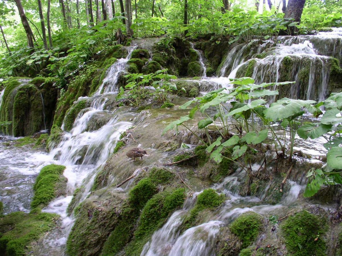 Accommodation Plitvice Korenica Eksteriør bilde